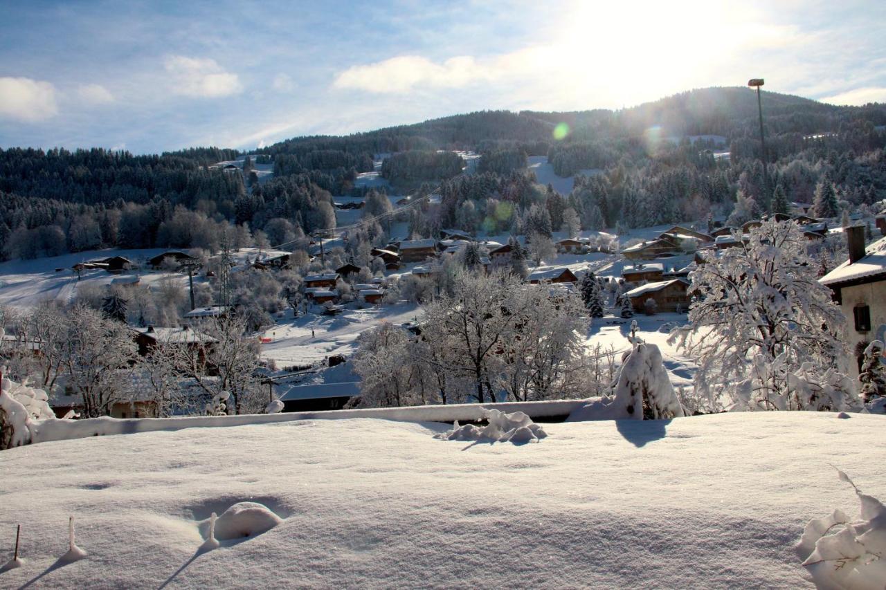 Appartement 103M2 Pres De Megeve, 2 Chambres, Grand Garage, Tennis En Ete Demi-Quartier Buitenkant foto